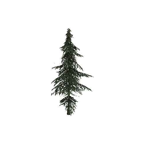 ConiferTreeSmall04LOD0 (TVE Backup)